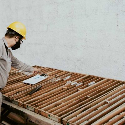 2021.02.20-Pedra-Branca-088